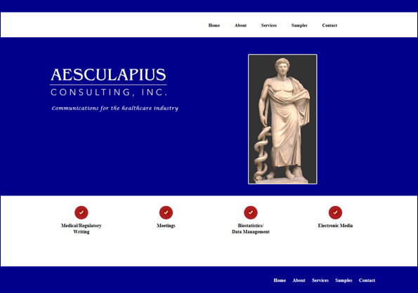 Website for http://www.aesculapiusconsultinginc.com/